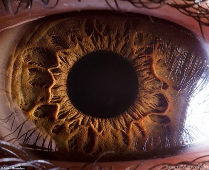 Человеческий глаз крупным планом (18 фото)