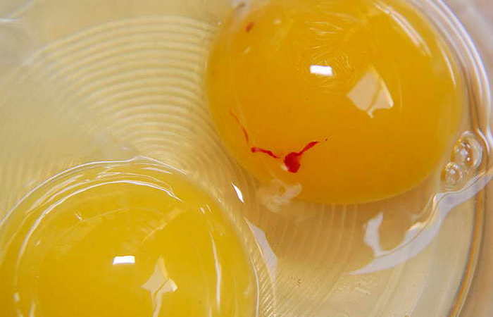 Красное пятно на желтке: можно ли кушать такие яйца