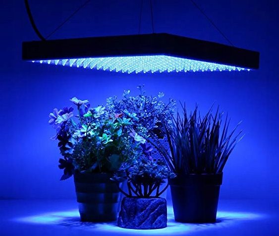 Лампы для выращивания растений