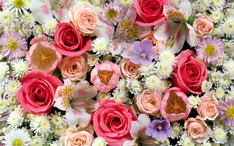 Свежие ароматные цветы оптом по низкой цене