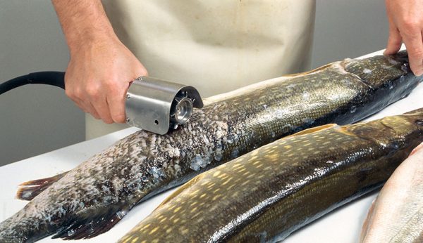 Электрическая рыбочистка – полезное и нужное оборудование на кухне любого заведения общепита