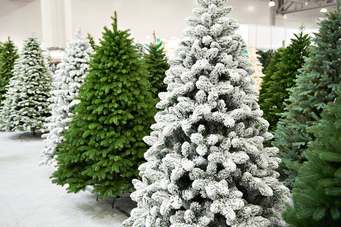 Как определить качество новогодней елки?