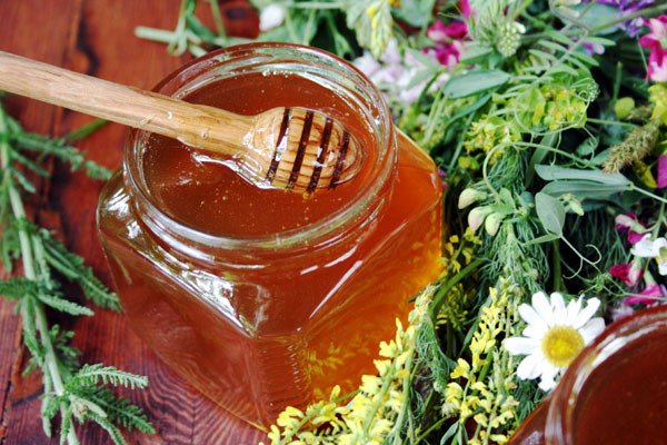 11 полезных свойств мёда
