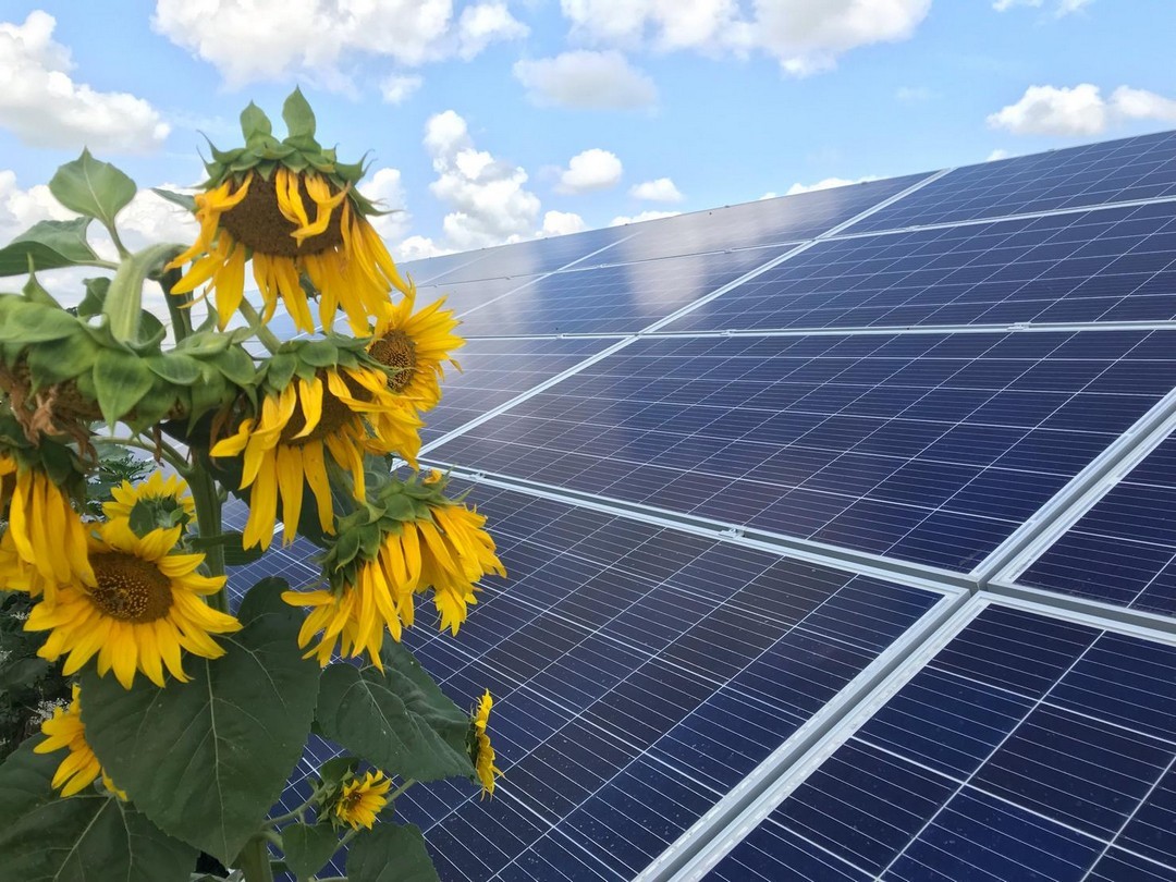 Придбання сонячної електростанції в Україні: переваги зеленої енергії та замовлення устаткування під ключ