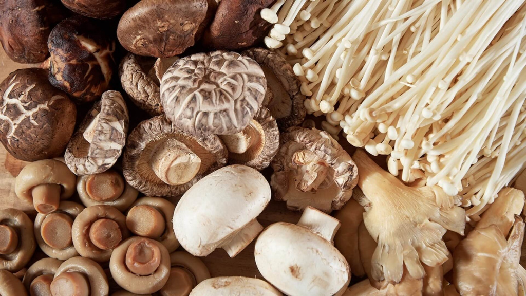 Использование грибов в медицине: Благо природы в борьбе за здоровье