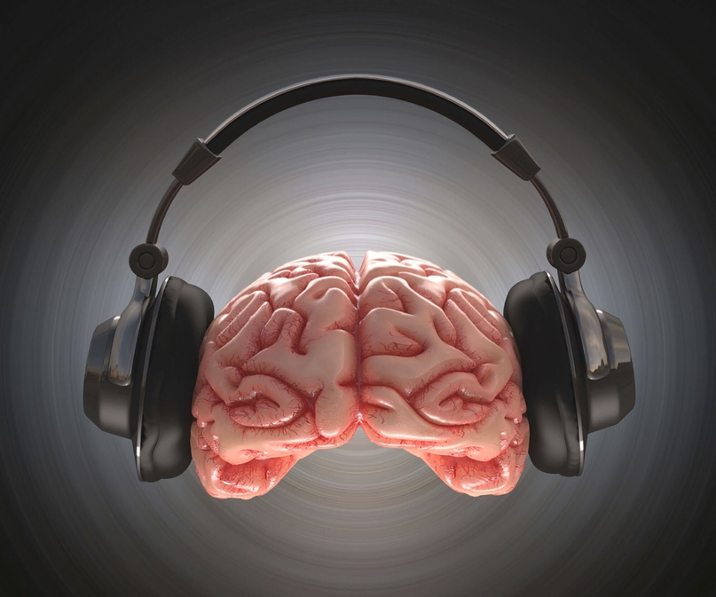 Секретное оружие для ума: как музыка влияет на психику и мозг
